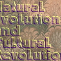 NaturalEvolution-CulturalRevolution6-RGES